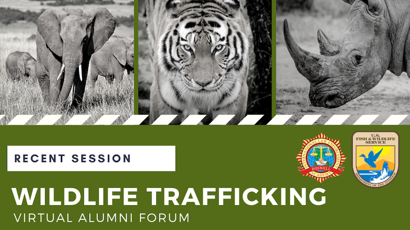 wildlife-trafficking-session-update